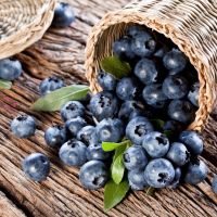 Sani sanatosi cu ajutorul alimentatiei