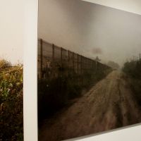 Ada Condeescu: Libertatea, laitmotivul fotografiilor mele
