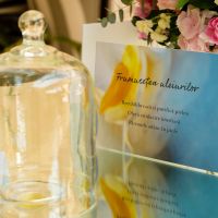 Brandul premium Darphin Paris, lansat si in Romania